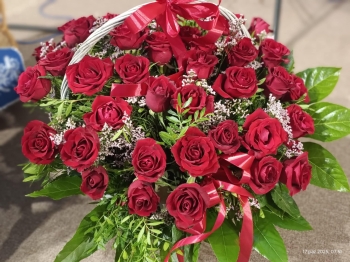 att.Bx8z7whr1qwnJFWcm8tfunVkO8mFF_hVD33aJ5ueD8o.jpeg