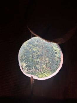 IMG_0273.jpeg