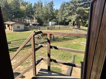 IMG_0264.jpeg