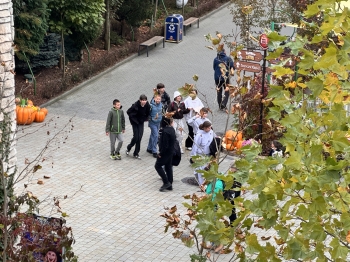 IMG_1105.jpeg