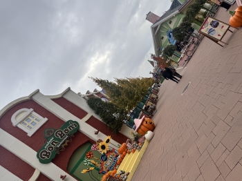 IMG_1112.jpeg