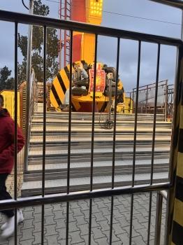 IMG_1154.jpeg