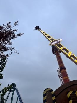 IMG_1157.jpeg